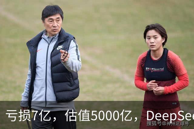 亏损7亿，估值5000亿，DeepSeek凭什么上科创板？